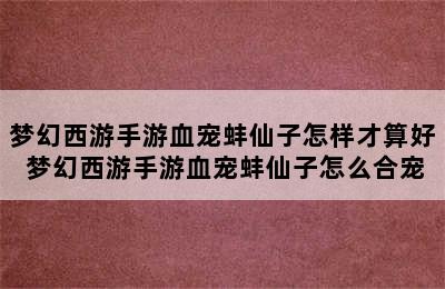 梦幻西游手游血宠蚌仙子怎样才算好 梦幻西游手游血宠蚌仙子怎么合宠